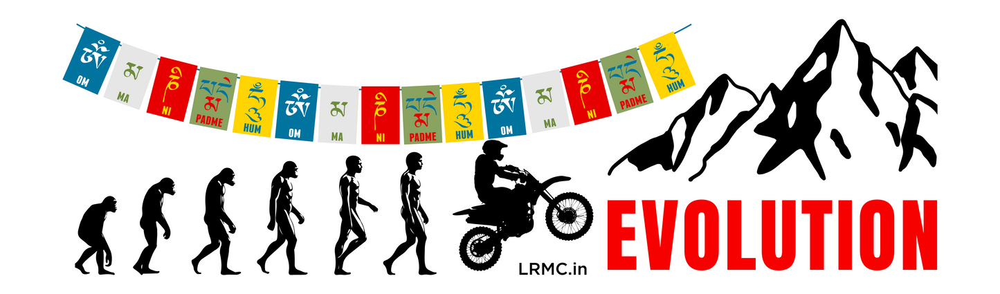 Evolution Enamel Mug